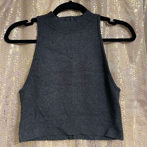 Victorias Secret Dark Gray Cropped Sleeveless Hook Eye Open Back Top Medium - Picture 2 of 6